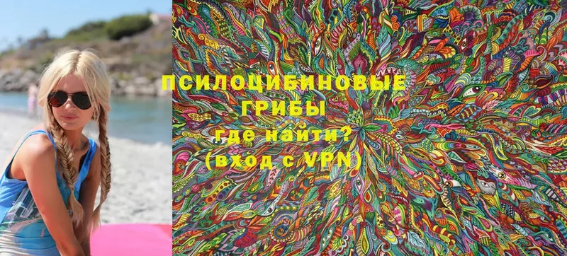 купить наркотики сайты  Зеленокумск  Галлюциногенные грибы Psilocybine cubensis 